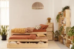 LORE cama nido 80 compacta con 1 cajón